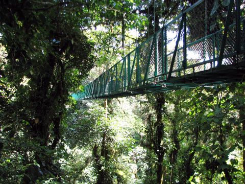 Selvatura Zip Line Canopy Tour & Cloud Forest Suspension Bridges