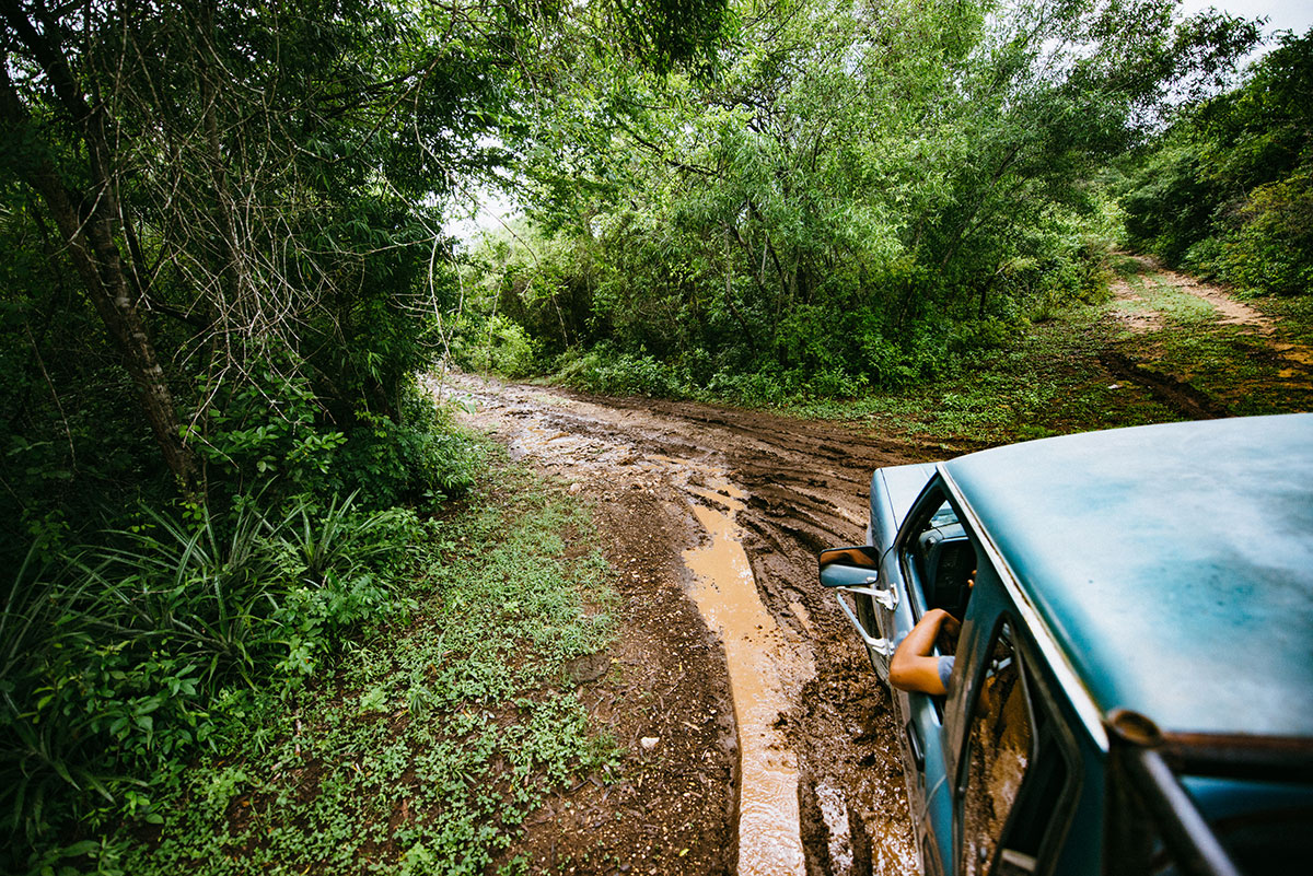 Driver rests their arm on the windowsill of a turquoise jeep driving down a rugged jungle road