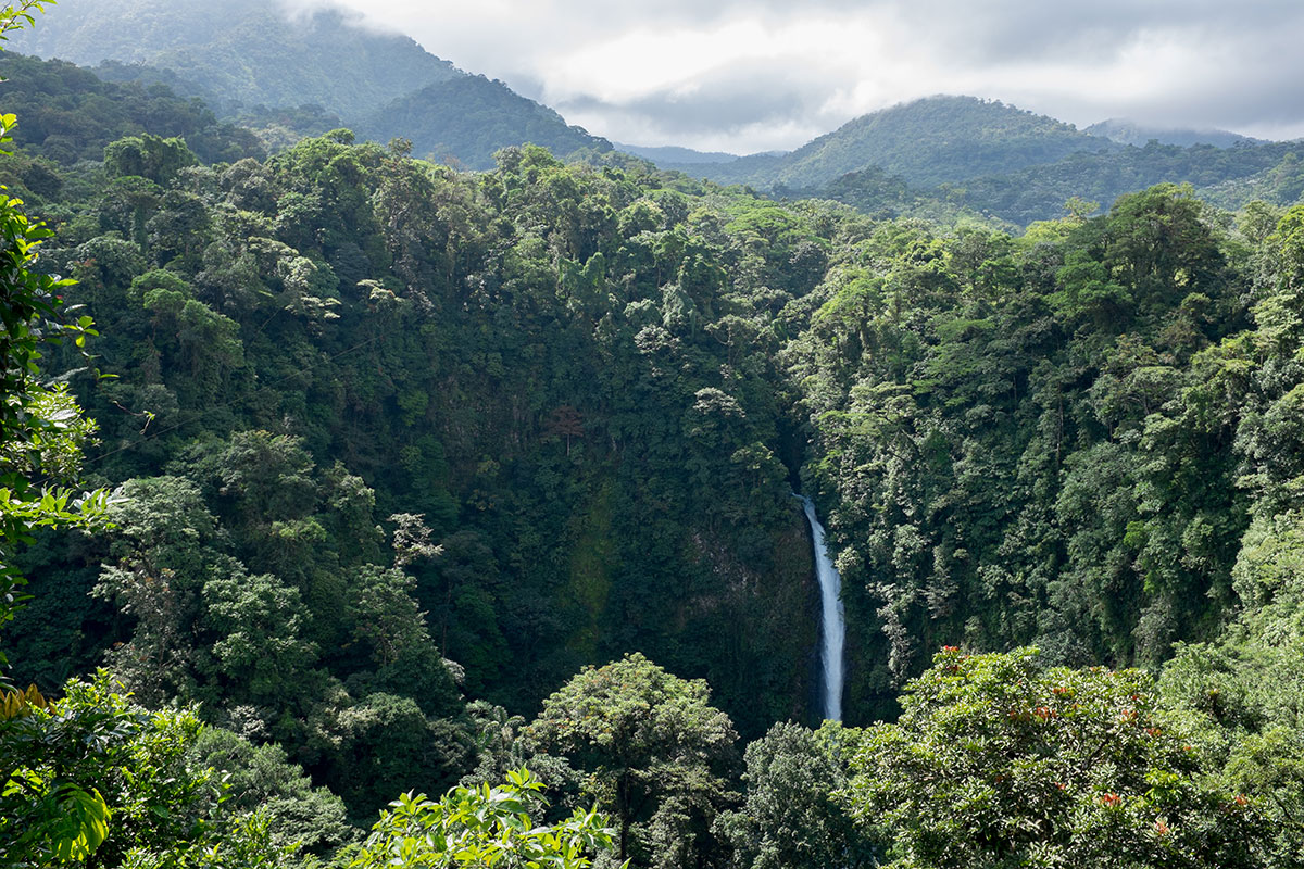 An aerial view of Monteverde’s jungle reveals a waterfall