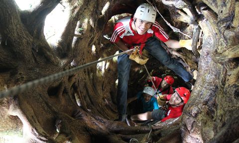 Treetop Climbing  Monteverde Costa Rica